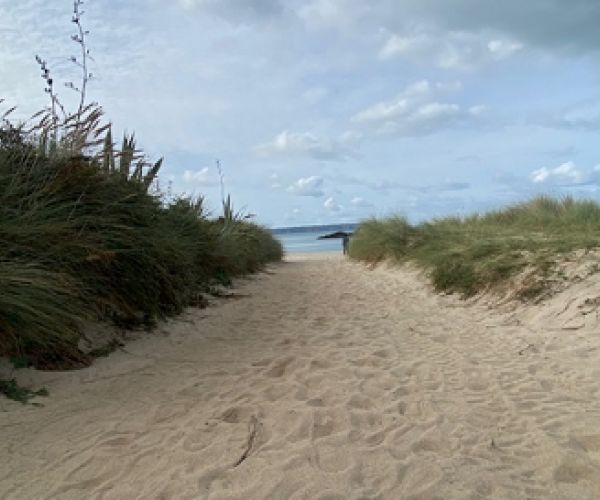 Holly Explores Guernsey