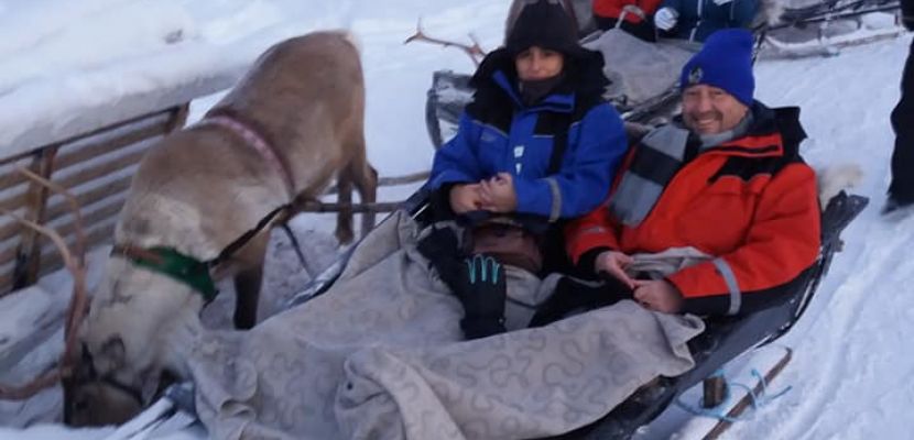 Northern Lights, husky dogs and snowmobiles