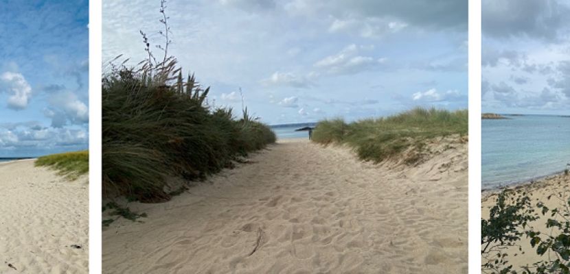 Holly Explores Guernsey