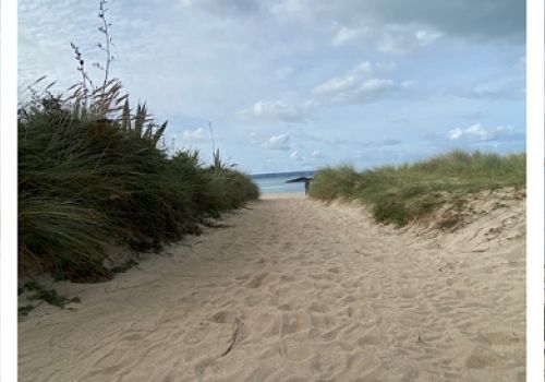 Holly Explores Guernsey