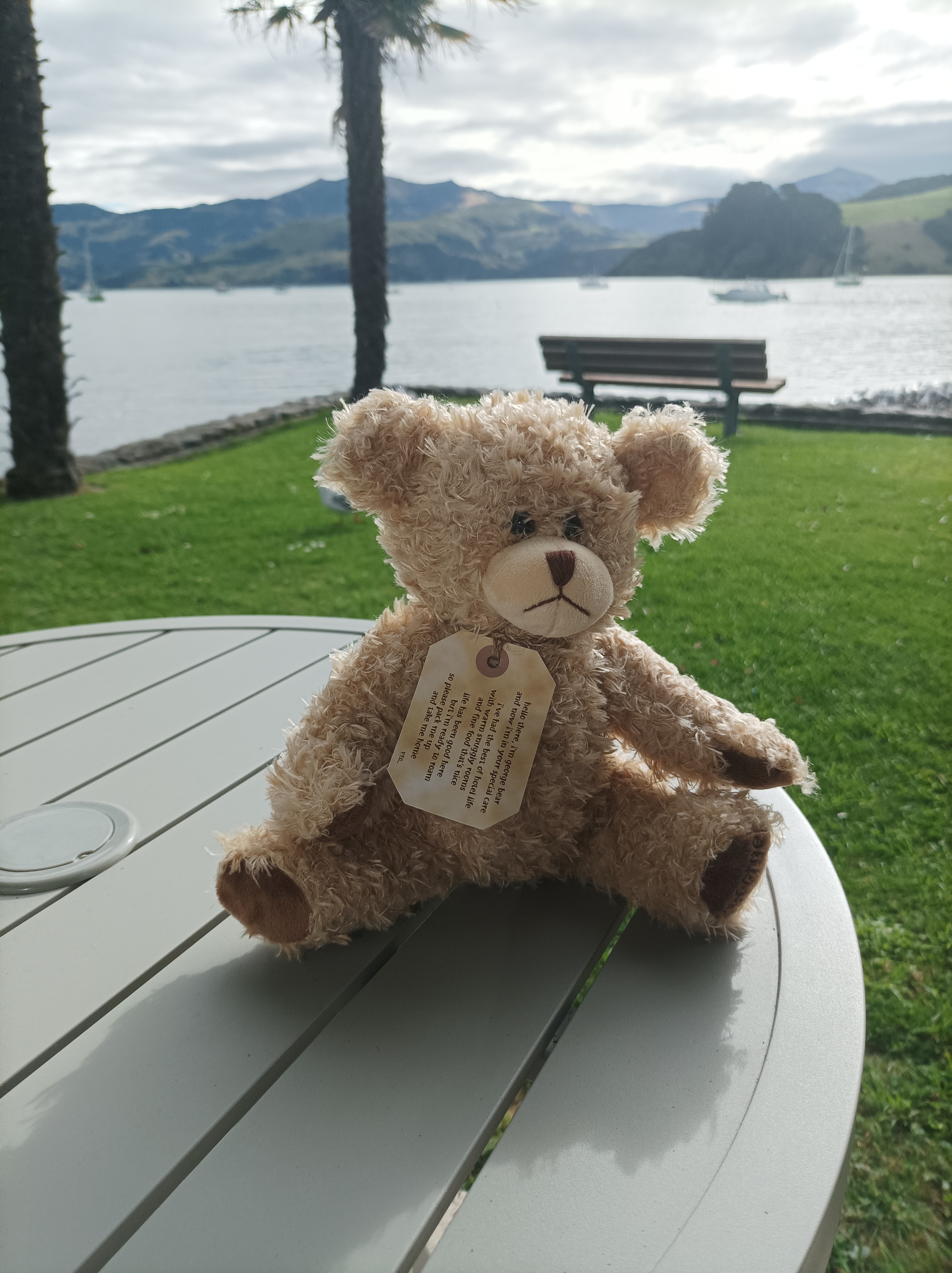 Reuniting a Lost Holiday Teddy
